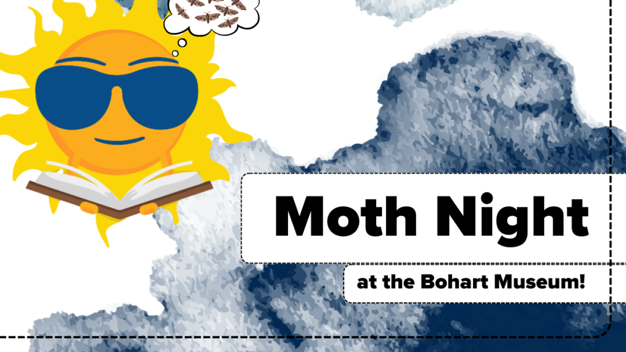 A promotional flyer with a bright sunny character wearing sunglasses on a dark blue and white background. Text reads "Moth Night at the Bohart Musuem"